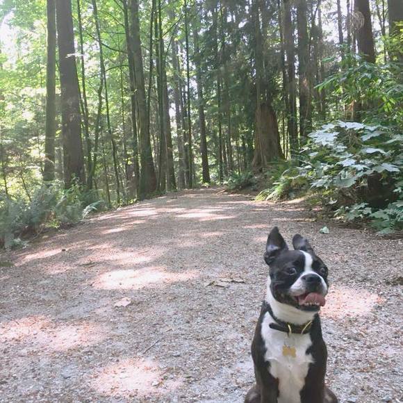 Meet your Posher, Charmaine - Picture 1 of 1